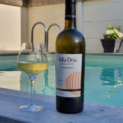 Vin blanc Villa Dria Cotes de Gascogne